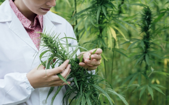 Ministry seeks to selectively permit marijuana-based drugs
