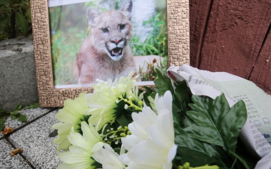 Death of puma triggers public protest against zoos in South Korea