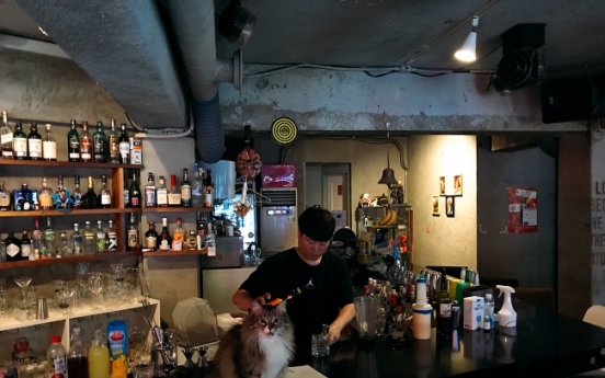 [Weekender] Seoulites seek coexistence with stray cats