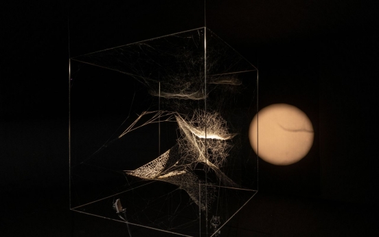 Structural artist weaves a tangled web