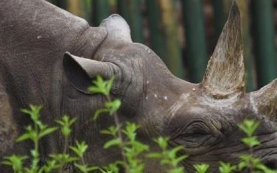 탄자니아서 57세 검은 코뿔소 죽어…'세계 최장수' 추정