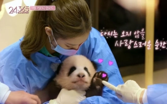 Agency cancels release of Blackpink panda footage after Chinese netizens complain