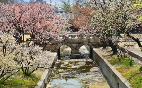 Spring flowers expected to bloom at Joseon royal palaces and tombs starting Sunday