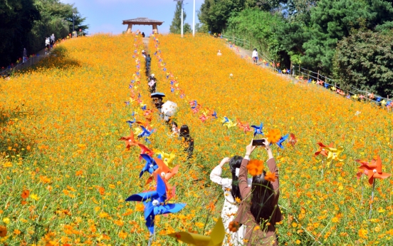 [Eye Plus] Fall flowers blooming at Seoul Olympic Park