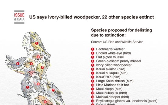 [Graphic News] US says ivory-billed woodpecker, 22 other species extinct