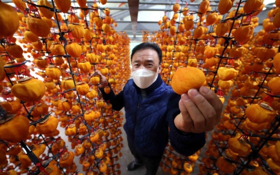 [Photo News] Season of dried persimmons