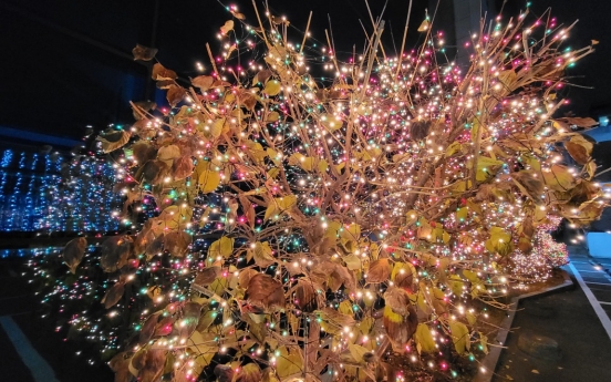 ‘Excessive’ LED decorations hurt trees: study