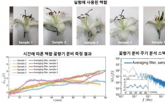 Researchers visualize floral scent in real time for first time