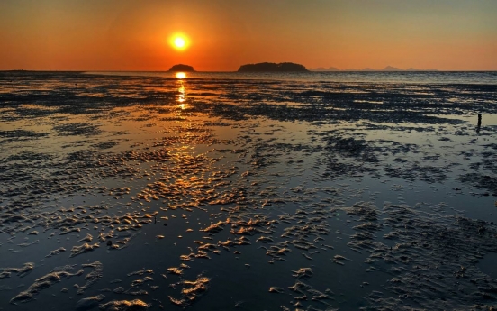 Gaetbeol, the Korean tidal flats and sustainable seafood dining