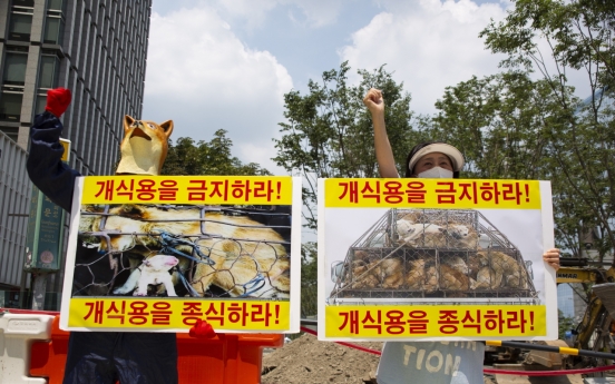 ‘Over 500,000 dogs are raised for meat in Korea’