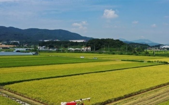 Rice production to fall by 2% this year: Statistics Korea