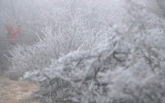 Korea under cold spell with first snow in several regions