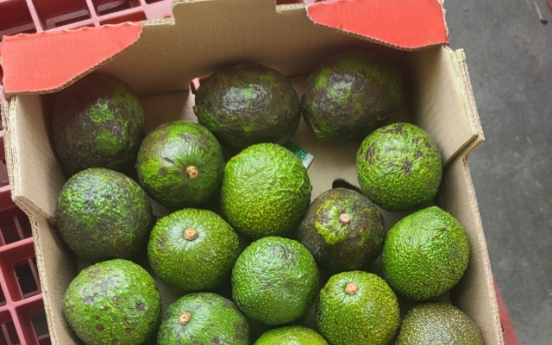Colombian avocados found to have excessive level of pesticides