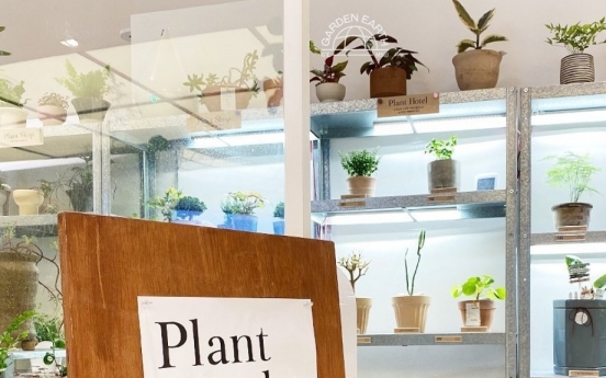 Are pet plants, plant butlers the latest trend or a form of therapy?