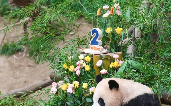 Thousands apply for one-time gig for panda's birthday