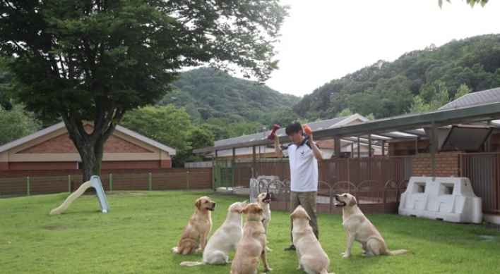 History of guide dogs for the blind