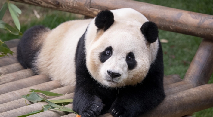 'We want Fu Bao back,' Seoulites petition for loan of beloved panda