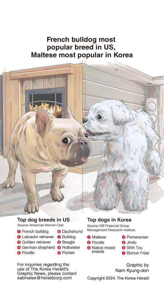 [Graphic News] French bulldog most popular breed in US, Maltese most popular in Korea