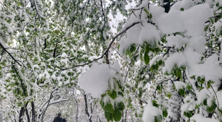 Why is heavy snow falling in mid-May in Korea?