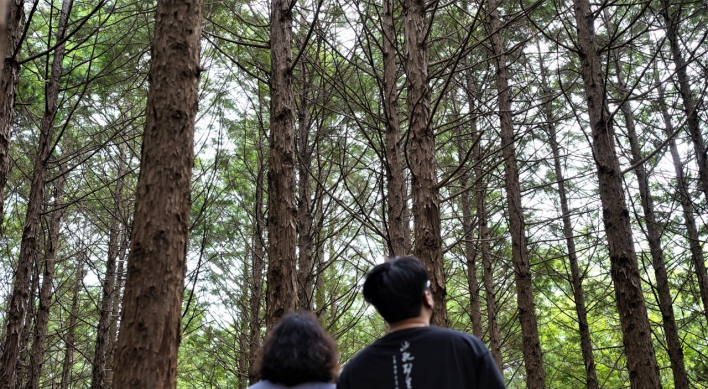 Heal your mind, body in Jeju forest