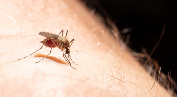 Mosquito activities unusually high in June