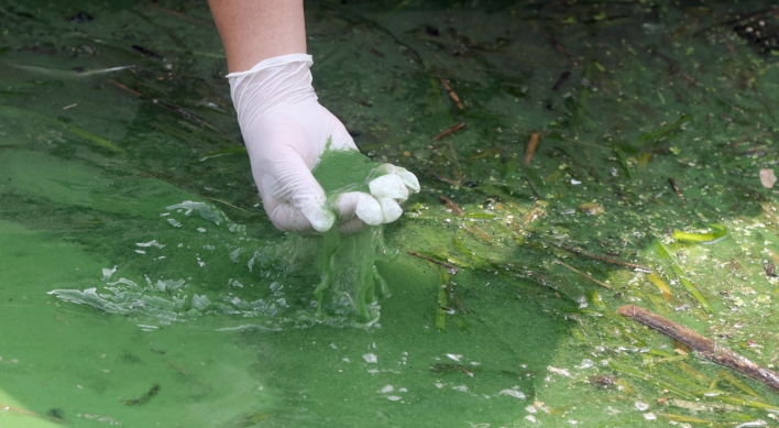 Another heat wave impact: Smelly tap water