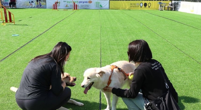 Take your dog to a festival this October