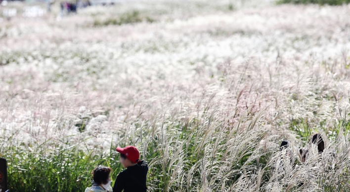 Feel the autumn at Seoul Silver Grass Festival