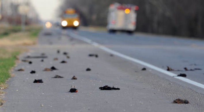 Mystery over dead birds in U.S. sparks wild speculations