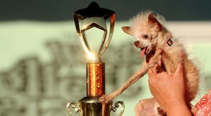Yoda the Chihuahua is crowned the World‘s ugliest Dog
