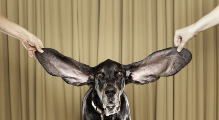 Colorado dog celebrated for having such long ears