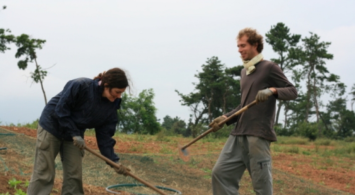 Sick of city life? Why not WWOOF?