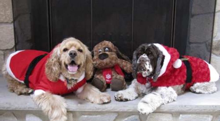 For pet-owners, holiday plans revolve around pets