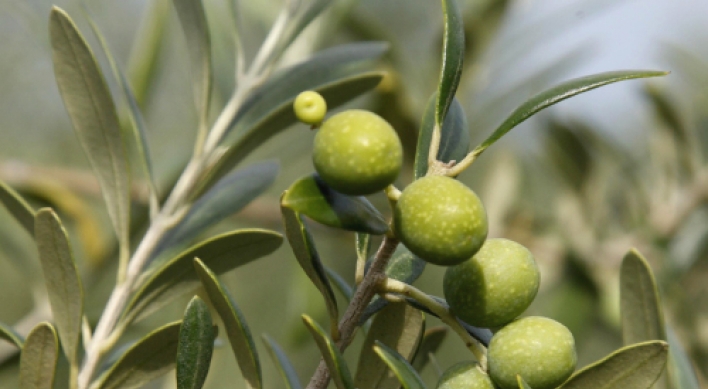 Farmers out to bring back U.S. olive oil
