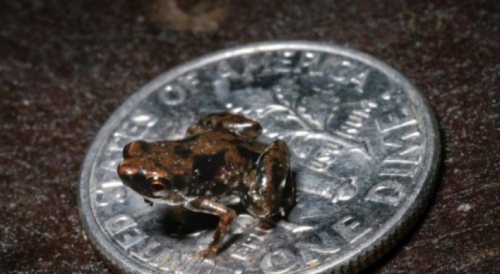 Tiny frog claimed as world's smallest vertebrate
