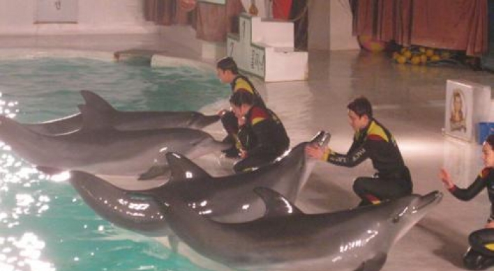 Ruling puts dolphin show limbo