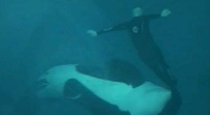 Killer whale drags trainer under water for 15 minutes