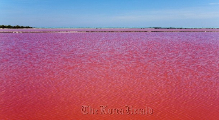 Natural phenomenon turns French lake red