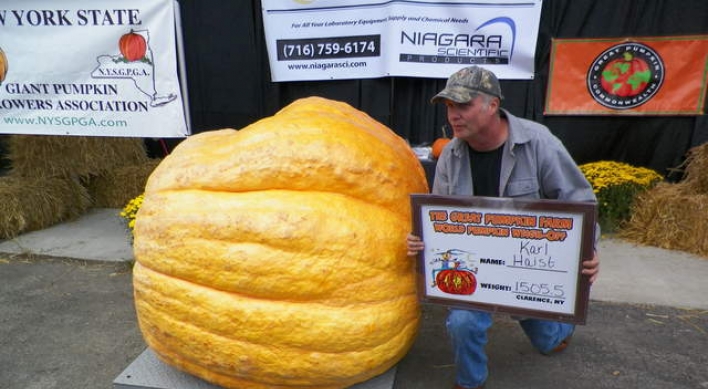 1,505.5-pound pumpkin wins weigh-off