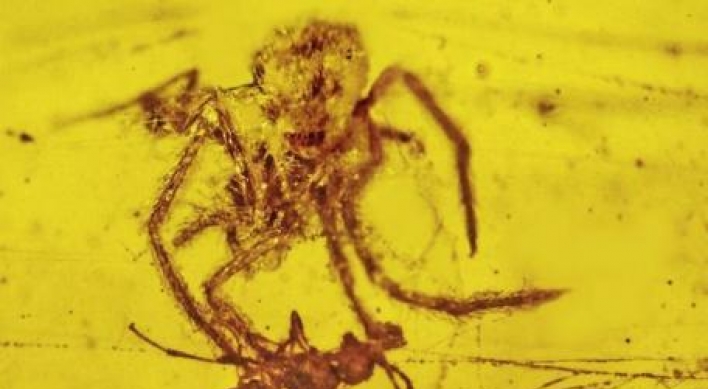 Prehistoric spider attack frozen in time