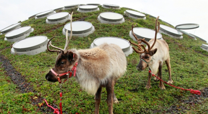 Revealed: The mystery of Rudolph‘s nose