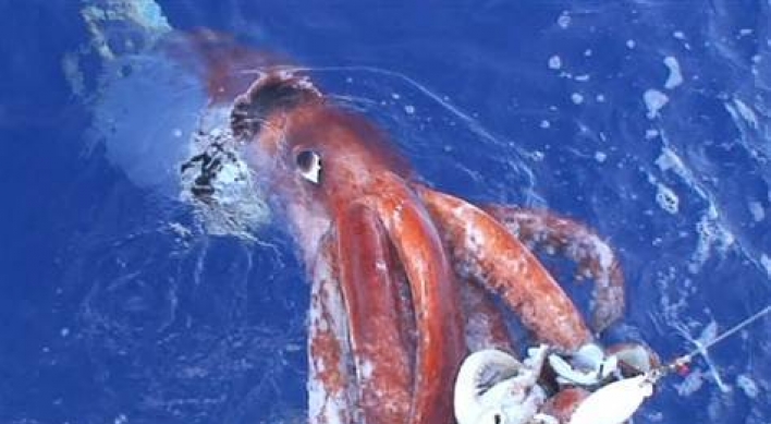 Giant squid filmed in Pacific depths: Japan scientists