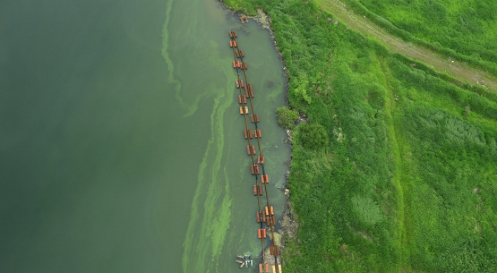 ‘Algal blooms widespread in wake of four-river project’