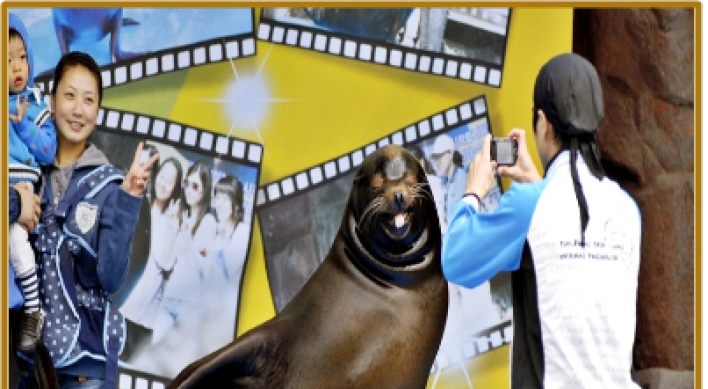 Seoul Zoo retires sea lion presentation