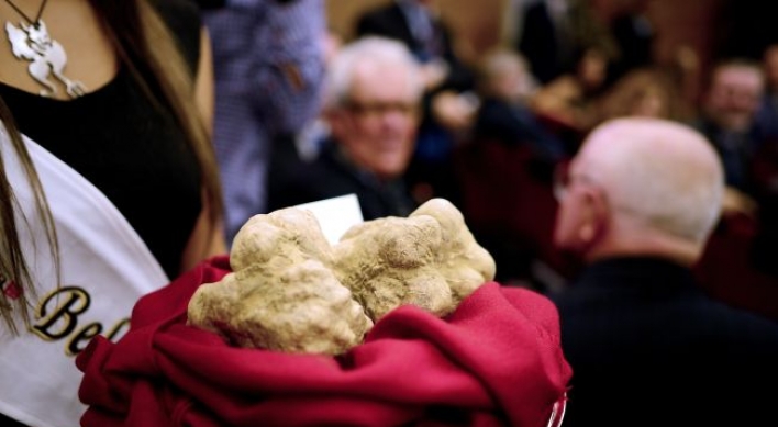 White truffles fetch three times the price of gold at auction
