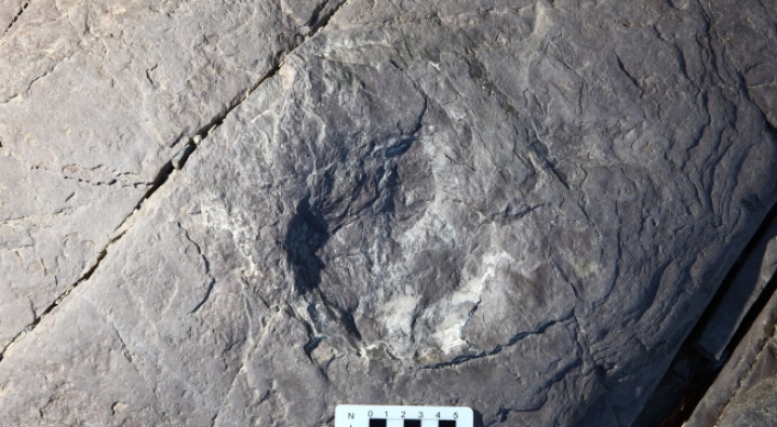 More than 80 dinosaur tracks found near Ulsan dam site