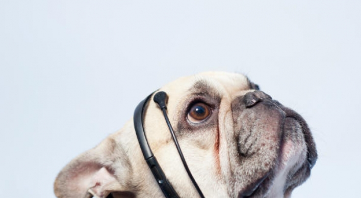 ‘No More Woof’ claims to translate dog’s thoughts into English