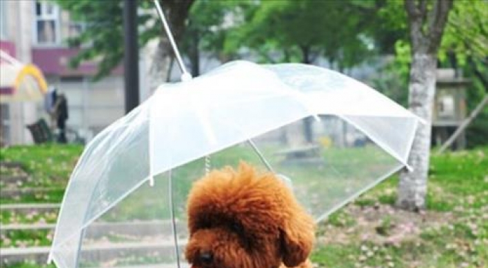 여행가는 애완동물 늘었다…전용 선글라스·우산 등장