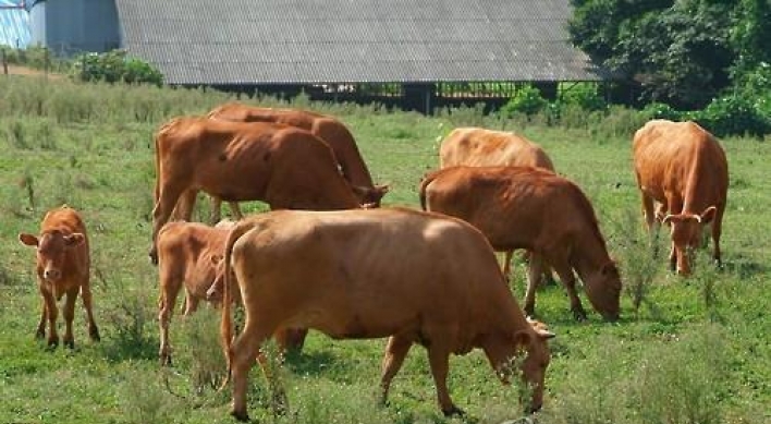 Falling number of Korean cattle raises price worries