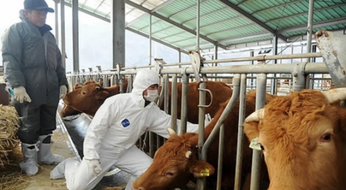 Over 40% of local cow farms closed since KORUS FTA: report
